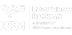 NSM Logo